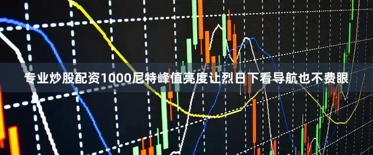 专业炒股配资1000尼特峰值亮度让烈日下看导航也不费眼