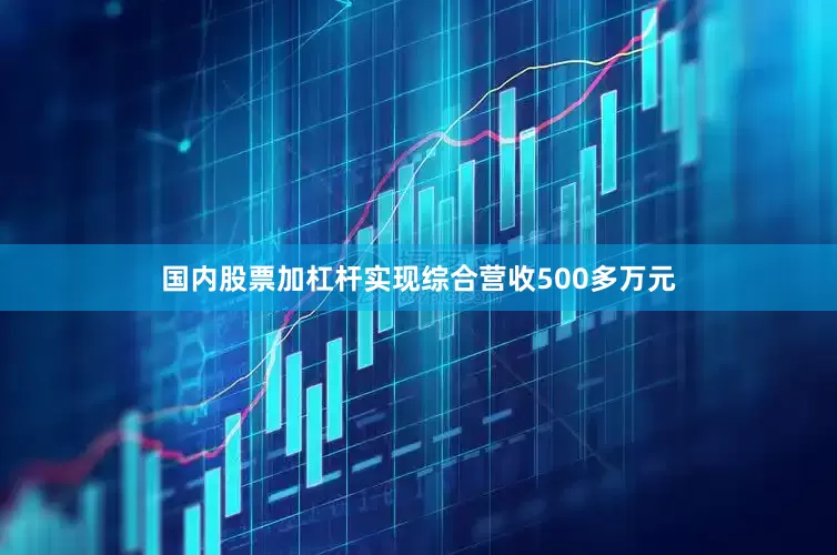 国内股票加杠杆实现综合营收500多万元