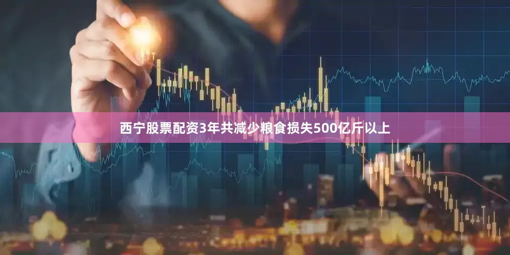 西宁股票配资3年共减少粮食损失500亿斤以上