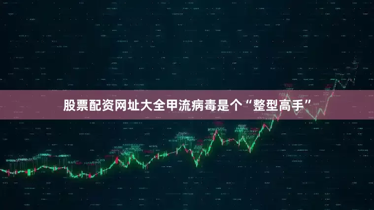 股票配资网址大全甲流病毒是个“整型高手”