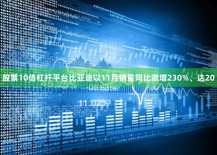股票10倍杠杆平台比亚迪以11月销量同比激增230%、达20